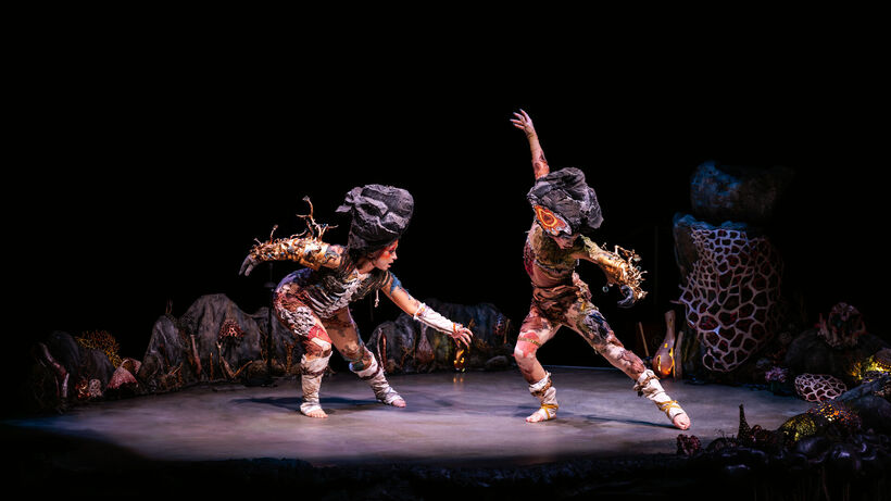 Último Helecho. Photo: Thaïs Breton.